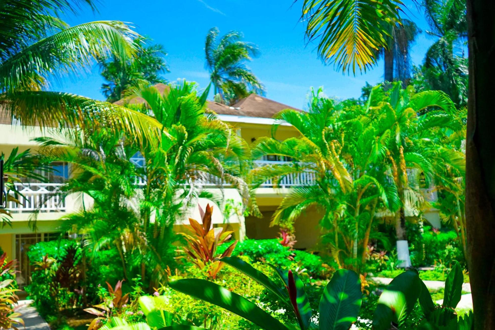 Ayurveda Resort ネグリル エクステリア 写真