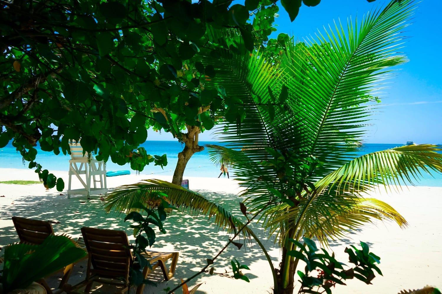 Ayurveda Resort ネグリル エクステリア 写真