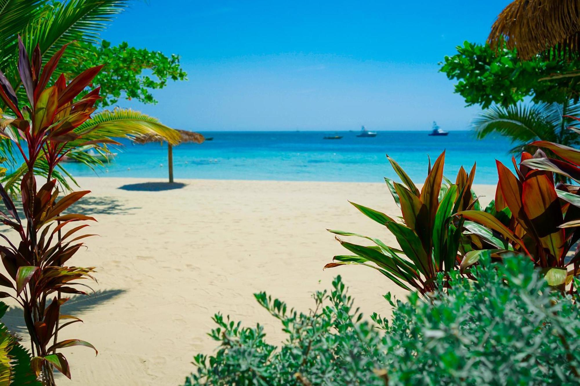 Ayurveda Resort ネグリル エクステリア 写真